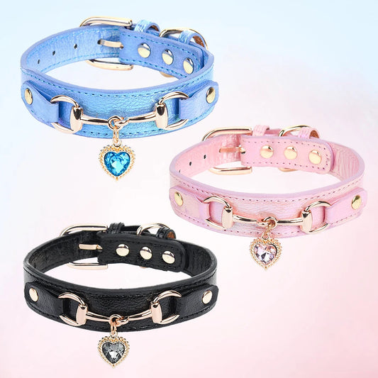 collar para mascotas.