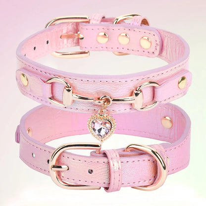 collar para mascotas.
