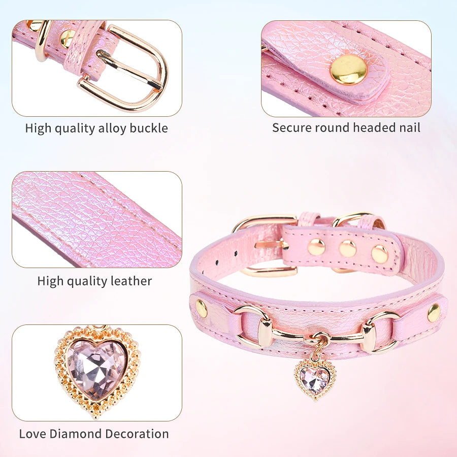 collar para mascotas.