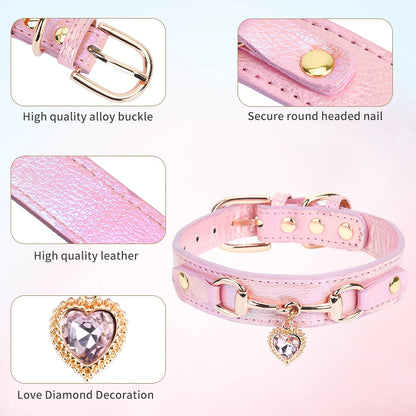 collar para mascotas.