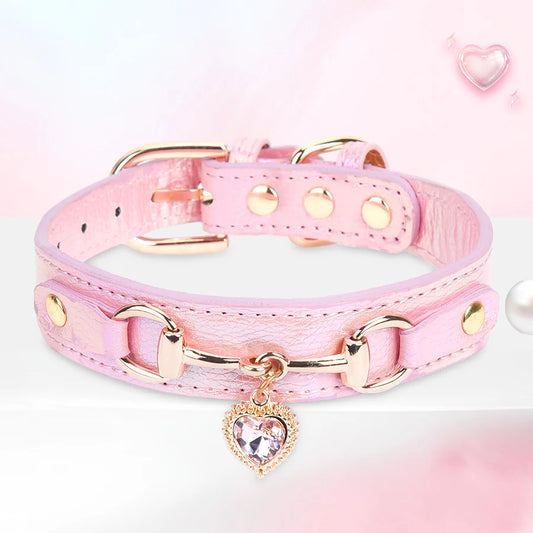 collar para mascotas.