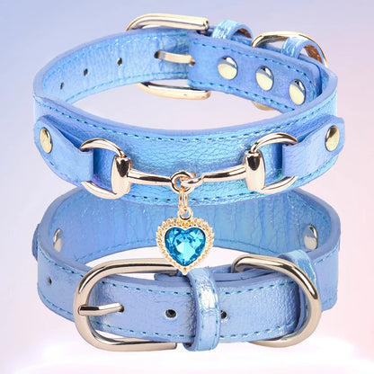 collar para mascotas.