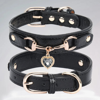 Collar de perros negro